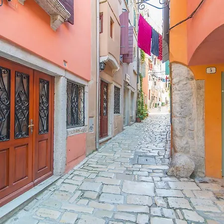 Yellow Flower روفينج