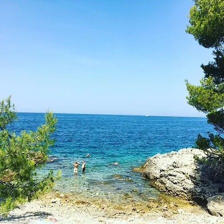 Yellow Flower 아파트 로비니