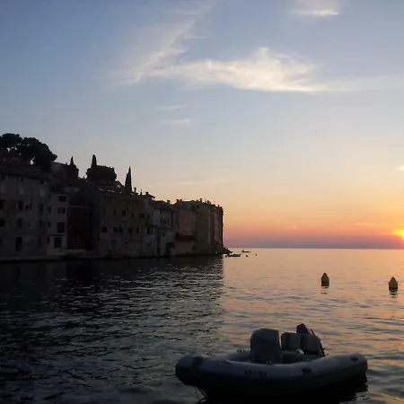 Yellow Flower شقة *