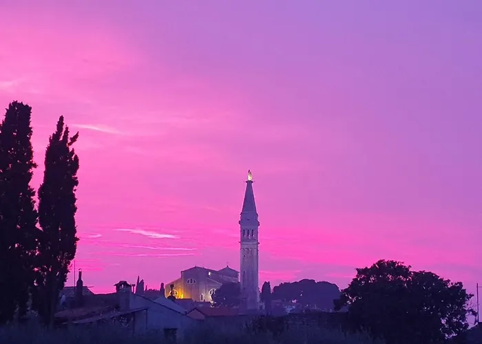 Yellow Flower Rovinj