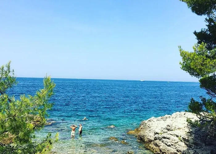 Yellow Flower Lejlighed Rovinj