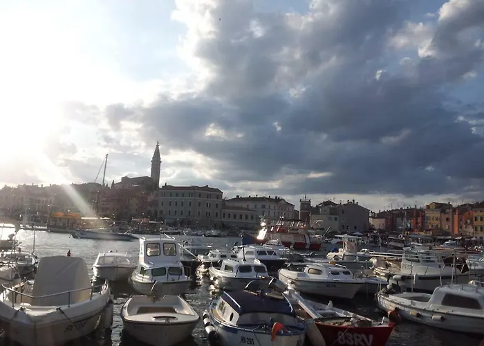 Yellow Flower Daire Rovinj
