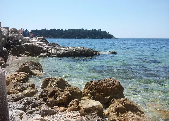 Daire Yellow Flower *