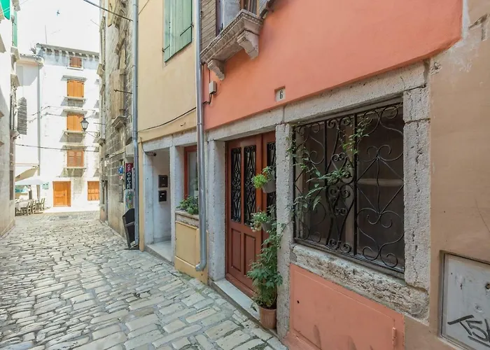 Yellow Flower Daire Rovinj