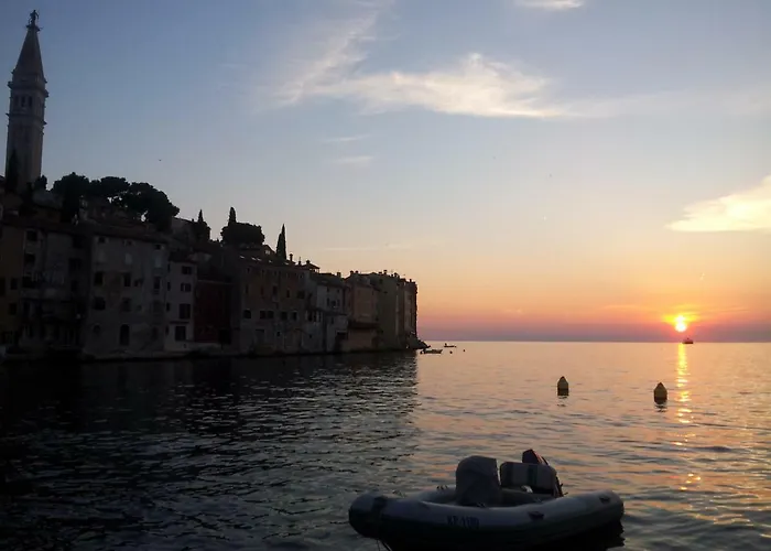 Yellow Flower Lejlighed *