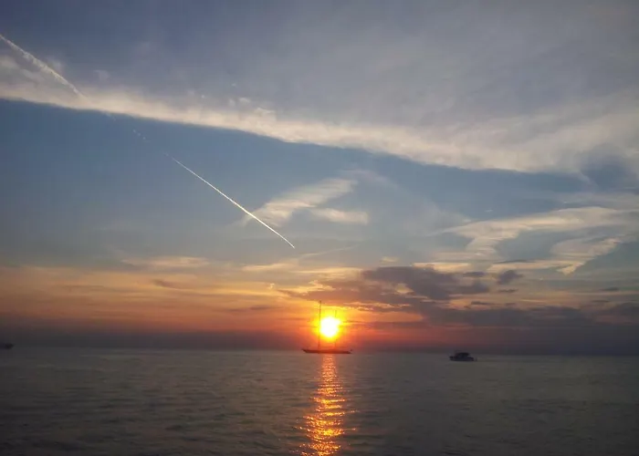 Lejlighed Yellow Flower *