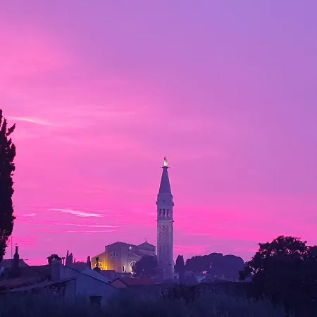 Yellow Flower Rovinj