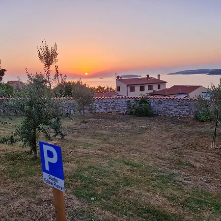 Yellow Flower Apartment