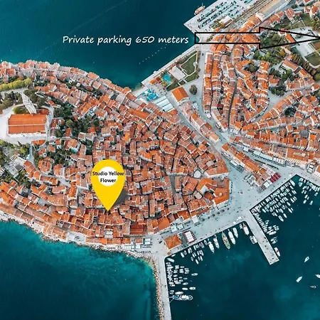 Apartment Yellow Flower Rovinj