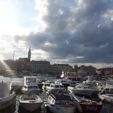 Yellow Flower Apartment Rovinj