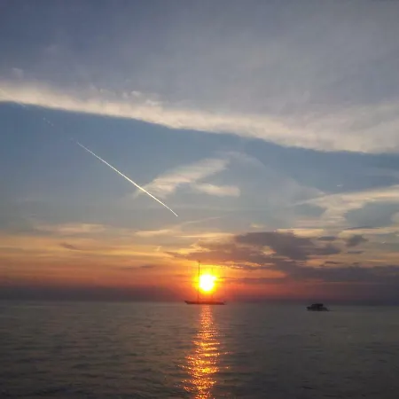 Apartament Yellow Flower *