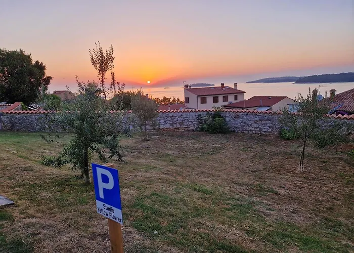 Yellow Flower Apartment