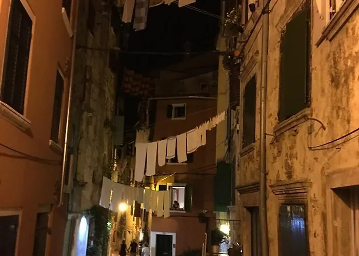 Yellow Flower * Rovinj