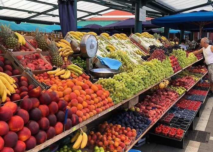 Yellow Flower Διαμέρισμα *